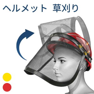 wbg  tFCXV[h K[h ی oCU[ tFCXV[ht tFCXV[h tFCXK[h یwbg یtFCXV[h