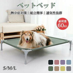 ybgxbh rt p Rbg ʋCQ Ȃ ʂǂ ybgpi Lvxbh  xbh nbN RpNg[ |[^u ^ xbh Lv ې􂢉\ 