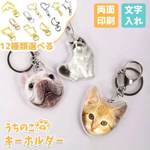 I[_[ChL[z_[  ʐ^ ʈ L[z_[ `[ L[`F[ IWi L  ybg ʐ^ ʐ^L[z_[ A Ƒ   ̎q a 