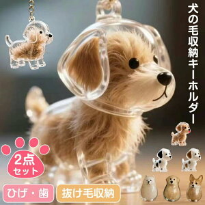 y2_Zbgzybg  P[X ^ L[z_[ `[  уP[X ѓ ybg ̖ю[{g [{g    Ђ ю[ ` vo A 킢