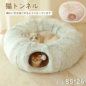 ~̔LLglۂĒт̕ۉybg܂݉\ȔLʘH