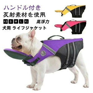 p CtWPbg ̂ ~ ^ ^ ^ t[eBOxXg zF 킢  CtWPbg   nht C  V v[ V C 