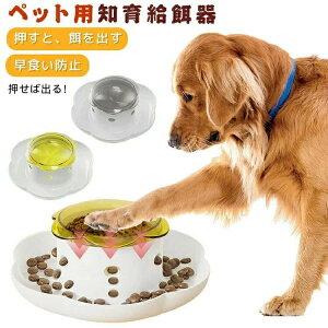  m狋a t[h{E a  2in1 H h~ pi mߋ ybg a ybgObY |Ȃ mgC L  X[tB[_[  a a GT 