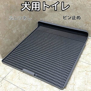  gC pgC ؃bggC g[jOpi IX юU ֗ ybggC ybg h~ p  юUh~