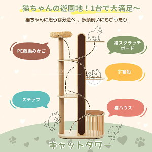 Lbg^[ L^[ Lbgc[ X 173.5cm u lR^[ 艺肵₷ ܂Ƃ|[ ؐ  qL ^L ybgpi 