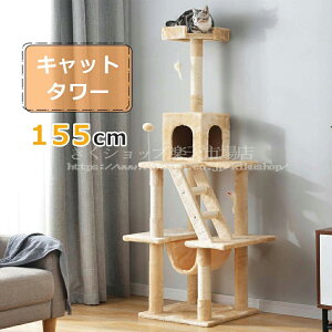 Lbg^[ nbNt u VjA ȃXy[X S155cm R  lY~2{t {{t ܂Ƃ L^[ ybgpi