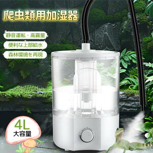 ঒  4L ঒ރAg}CU[ g ~Xg  ȒP 󕰂h~@\ OiKʒ ASqQgJQ  J COAiȂ ঒ޗ