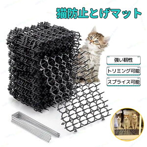 L悯V[g 20 ~ߓB8{t LV[gƂ}bg L悯 ˂悯 V[g L悯ObY L悯΍ ǔL΍ Qb@LNh~΍ L悯V[g   v^[̒悯 