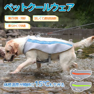 pN[xXg ⊴ pxXg ЂxXg pĕ p ʋC MǑ΍ Ăh N[xXg  ⊴ ybgN[OxXg  ۗ pR[g ^ ^ 