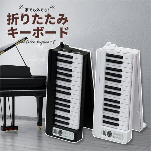 KIKUTANI KDP-61P | LN^j ܂肽 sAm 