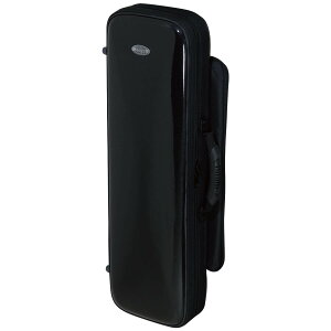 bags EFSS M-BLK | obOX Ǌy P[X