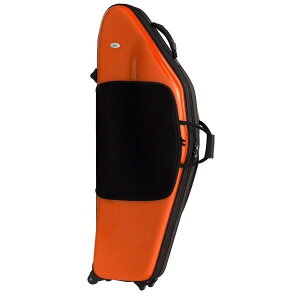 bags EFBS | obOX Ǌy P[X