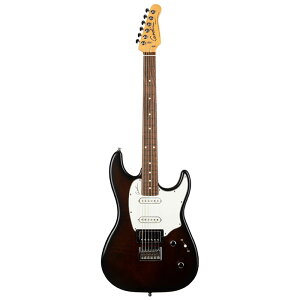 Godin Session HT RN (Bourbon Burst) | �S�_�� �G���L�M�^�[ �Z�b�V����