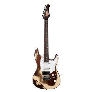 Godin Guitars Session T-Pro LTD Kanyon Burst Hangover RN | S_ GLM^[ ZbV