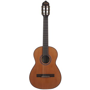 VALENCIA VC713