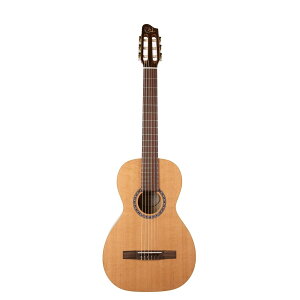 Godin Guitars Motif | S_ iCM^[