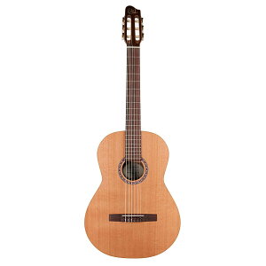 Godin Guitars Concert | S_ NVbNM^[ RT[g
