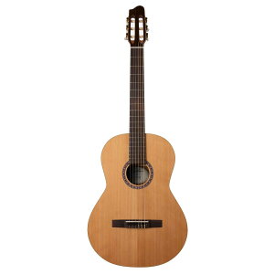 Godin Guitars Concert LEFT Clasica II | S_ RT[g KbgM^[