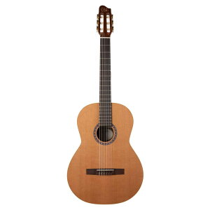 Godin Guitars Collection | S_ iCM^[ NVbNM^[