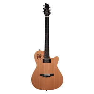 Godin Guitars A6 ULTRA Natural SG | S_ GAR Eg Ag