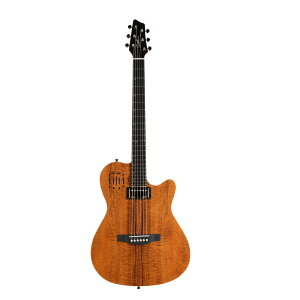 Godin Guitars A6 ULTRA Extreme Koa HG | S_ Ag GNXg[