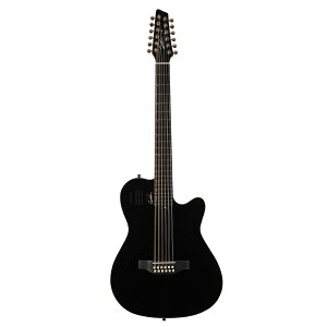 Godin Guitars A12 Black HG | S_ 12M^[