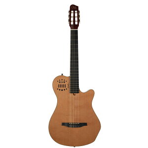Godin Guitars Multiac Grand Concert SA Natural HG | S_ GKbg Oh RT[g