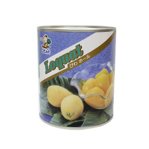 天狗缶詰 びわ缶 中国産 2号缶 ホール / 和菓子 ビワ 枇杷 製菓材料、製パン材料、フルーツ缶