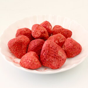 t[YhCt[Yz[@25g / ٍޗAَqA