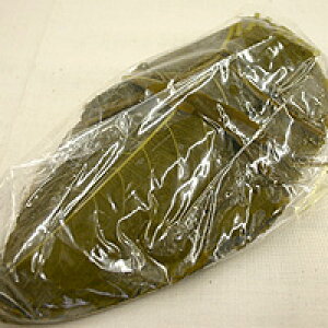 yYz̗tЂ 50 /  t  [֑Ή\