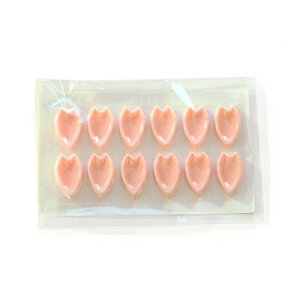 ~jԂт sN 12/ `R[g ٍޗ fR[V   gbsO