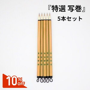 yX[p[SALE10OFFz  M M wI ʊ 5{Zbgx(Ⴉ)6500 ʊ M    M ѕM M   ʌo p ₷ ₷M ₷M 