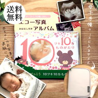 【 選べるアルバム エコー写真 色褪せない 送料無料 】ベビー 赤ちゃん 【出産お祝いや思い出に 】マタニ…
