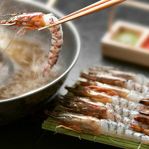 Ε O 2025 J ԊCV̂Ԃ KZ-3126  O Hו Ԃ   i j  ii i Vzj j oYj A z z j