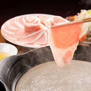 Ε ~Mtg O 2025 ܃s[`|[NԂԃZbg 97511-600  O Hו Ԃ   i j  ii i Vzj j oYj 