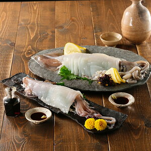 Ε O 2025 ̐Hה׃Zbg   O Hו Ԃ   i j  ii i Vzj j oYj A z z j