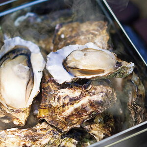 Ε O 2025 LỹJJĂ H-KY16  O Hו Ԃ   i j  ii i Vzj j oYj A z z j