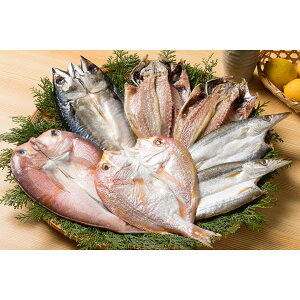 �C�N�ꎬ�J���Z�b�g KU-51 �������� ���� �O���� �H�ו� ���Ԃ� ��� ���� ��i ���j�� �i�i �i�� �V�z�j�� �������j�� �o�Y���j�� �����A �����z�� ���z�� ���j�� �~�M�t�g