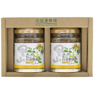 YI2{Zbg S2-H2 TԂ 䋟 e{ lߍ킹 Mtg v[g  ii i Vzj j oYj A z z j ʐ^ bZ[WJ[h 