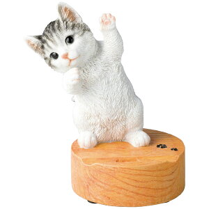 X}zX^h ToL TԂ 䋟 e{ lߍ킹 Mtg v[g  ii i Vzj j oYj A z z j ʐ^ bZ[WJ[h 