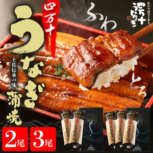 yXSi|Cg5{zΕ ăMtgȂ Y l\  110g Iׂ2 3 l\Ȃ a Mtg v[g Ⓚ  l\썂m Y yp̉N 2{ 3{j p