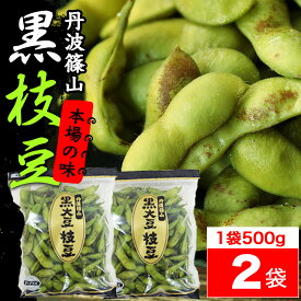 ＼100円OFFクーポン配布中／【枝豆 えだまめ 黒枝豆】丹波篠山 本場 黒枝豆 令和8年産 丹波取り寄せ 予約販売 【送料無料 数量限定】丹波 黒枝豆 ＜ 枝豆 500g × 2袋 ( さや )＞ t-2 大粒 黒大豆 【さやのみ】 旬 ご当地 お取り寄せ グルメ