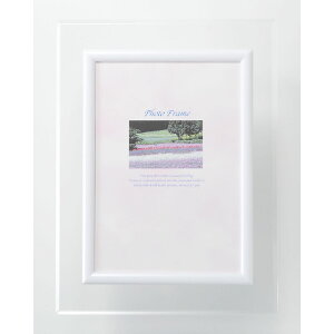 y^bƓ\ttHgt[DX 00770TԂ 䋟 e{ lߍ킹 Mtg v[g  ii i Vzj j oYj A z z j ʐ^ bZ