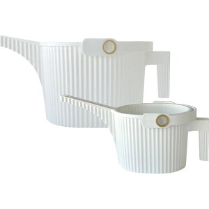 K[fr[g 1.5LE5L 2g 244882TԂ 䋟 e{ lߍ킹 Mtg v[g  ii i Vzj j oYj A z z j ʐ^ bZ[