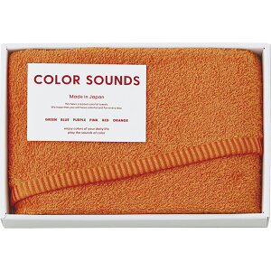 tFCX^I COLOR SOUNDS CSD2510ORTԂ 䋟 e{ lߍ킹 Mtg v[g  ii i Vzj j oYj A z z j ʐ^ bZ[WJ