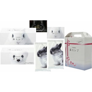 lsA@ZuMtg WIDE5 qlsA NHS-2002209TԂ 䋟 e{ lߍ킹 Mtg v[g  ii i Vzj j oYj A z z j ʐ^