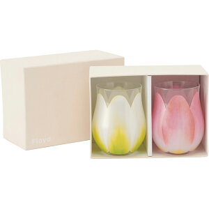 `[bvOXyAFL11-00814TԂ 䋟 e{ lߍ킹 Mtg v[g  ii i Vzj j oYj A z z j ʐ^ bZ[WJ