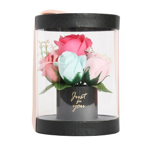 t[\[v a v[g Mtg Ε GKgAW ԈȊO ւ̓  Ԃ 킢 o sN  lC Ό \[v tz_