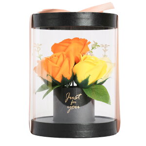 yzy󂠂z2,937~2,643~ t[\[v a 2025 GKgAW ԈȊO ւ̃v[g   Ԃ킢 o sN a v[g  lCΌ t