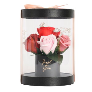 t[\[v a v[g Mtg Ε GKgAW ԈȊO ւ̓  Ԃ 킢 o sN  lC Ό \[v tz_